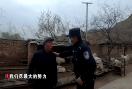 農(nóng)牧要聞丨七名“偷羊賊”流轉(zhuǎn)三地不斷作案，甚至可以無聲宰羊，原因太意外
